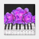 Rosas de Fushia y teclado y notas de piano Imán