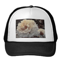 rosas de la sepia gorros bordados