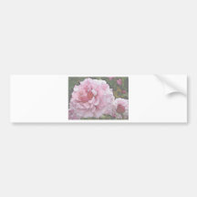 Rosas de los Arty Pegatina De Parachoque