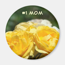 Rosas del jardín de flores del rosa amarillo del i