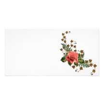 Rosas del melocotón tarjetas fotograficas 