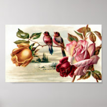 Rosas del pájaro del vintage de la cartera posters