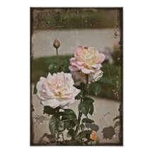 Rosas del vintage fotografia
