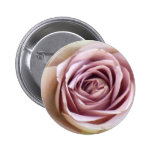 Rosas deliciosos de la lavanda pins