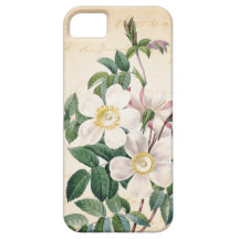 Rosas elegantes lamentables iPhone 5 protectores