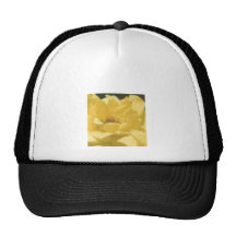 Rosas Gorros
