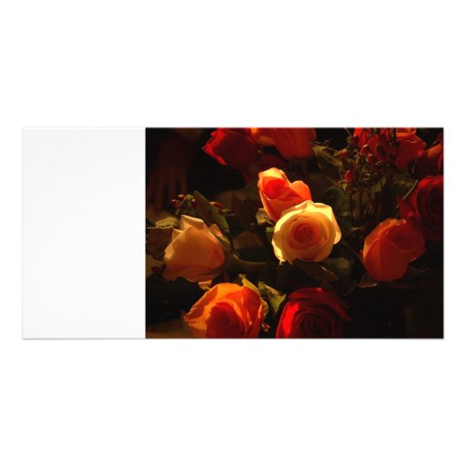 Rosas I - Naranja, rojo y gloria del oro Plantilla Para Tarjeta De Foto