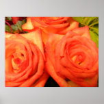 Rosas Impresiones
