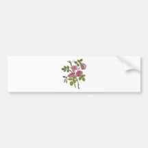 Rosas ingleses viejos rosados bordados etiqueta de parachoque