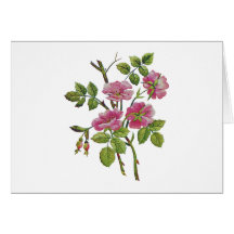 Rosas ingleses viejos rosados bordados tarjetas
