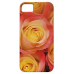 Rosas magníficos iPhone 5 Case-Mate protector