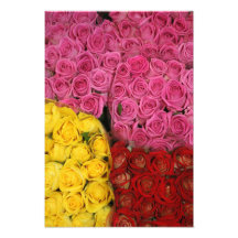 Rosas Impresión Fotográfica