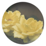 Rosas Platos De Comidas