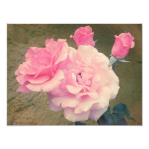 Rosas retras 2 arte fotografico