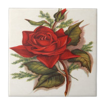 Rosas rojos azulejos ceramicos