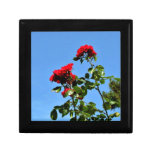 Rosas rojos brillantes cajas de recuerdo