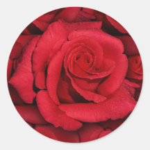 Rosas rojos - elegantes y elegantes pegatina redonda