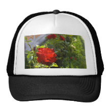Rosas rojos en jardines del castillo gorras de camionero