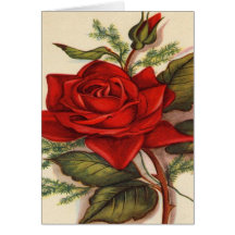 Rosas rojos felicitaciones