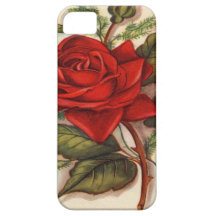 Rosas rojos iPhone 5 protector