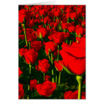 Rosas rojos tarjeta