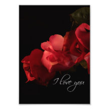 Rosas rojos y rosados "te amo" impresión de la fot