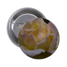 Rosas Rosa, sombra oscura Pins