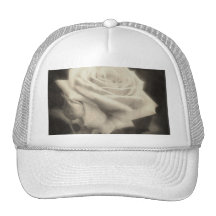 Rosas rosados en Anzures 3 Antiqued Gorro De Camionero