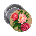 Rosas rosados florales del vintage lindo