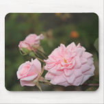 Rosas rosados Mousepad Tapete De Ratón