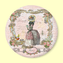 Rosas rosados negros de Marie Antonieta del canich imanes