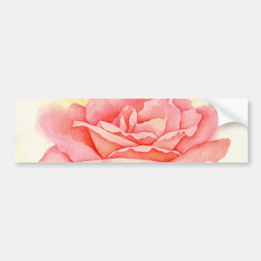 Rosas rosados que pintan arte - multi etiqueta de parachoque