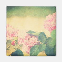 Rosas rosados que suben iman