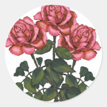 Rosas rosados, tres: Arte del lápiz del color, dib Pegatinas