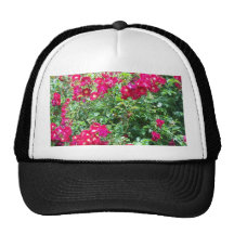 Rosas, rosas, rosas gorras