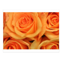 Rosas Tarjetas Postales
