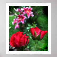 Rosas y lirios poster