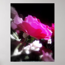 rosas y wildflowers 10 impresiones