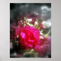 rosas y wildflowers 2 poster