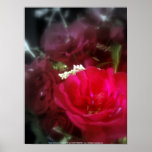 rosas y wildflowers 4 posters
