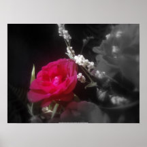 rosas y wildflowers 6 impresiones