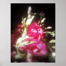 rosas y wildflowers 7 poster