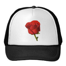 Rose3 Gorros