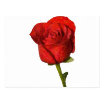 Rose3 Postales