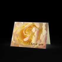 Rose amarilla le agradece cardar tarjetas