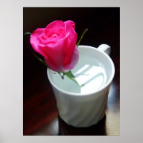 Rose en una taza posters