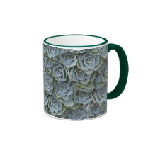ROSETONES SUCULENTOS GRISES VERDES DE LA PLANTA TAZA DE CAFÉ