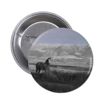 Rosie Pins