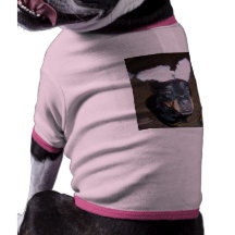Rott-Conejito Camisa De Perro