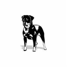 ROTTIE ESCULTURAS FOTOGRAFICAS